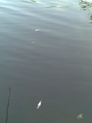 Фото000.jpg