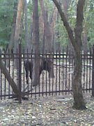 Фото001.jpg