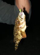 море 043.JPG