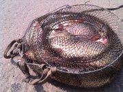 IMG_20120812_144228.jpg
