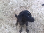 27052012723.jpg