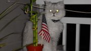 SAM_0351.jpg