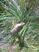 18082012221.jpg