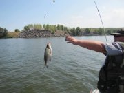 IMG_2350.JPG