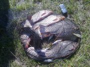 18082012162.jpg