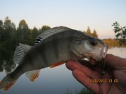 1-IMG_0007.JPG