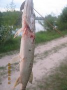 1-IMG_0008.JPG