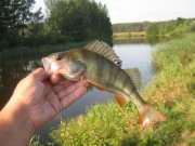 1-IMG_0013.JPG