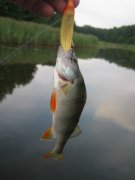 1-IMG_0030.JPG