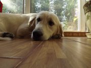 DSCF1117.jpg