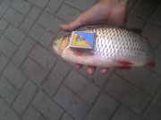 IMG_20120720_142822.jpg