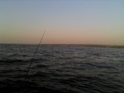 IMG_20120823_062508.jpg