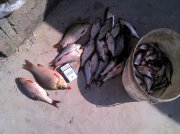 IMG_20120823_144703.jpg
