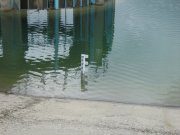 IMG_0606.jpg