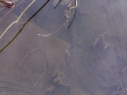 08032008301.jpg
