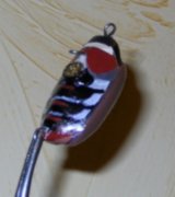 DSCN9569.jpg