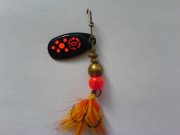DSC02575.JPG