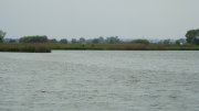 DSC00604_resize.JPG