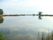 DSC00619_resize.JPG
