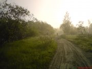 DSC00302.JPG