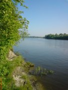 DSC00304.jpg