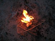 IMG_0295.jpg