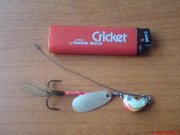 DSC01063.JPG