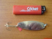 DSC01070.JPG