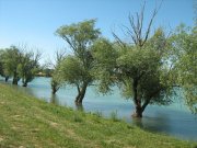 Копия IMG_0614.jpg