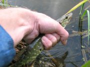 IMG_0313.jpg