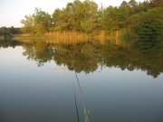 IMG_2043_3.JPG