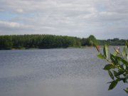 P5260009.JPG