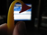 IMG_0213.jpg