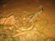 IMG_0321.jpg