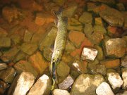 IMG_0322.jpg