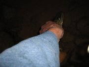 IMG_0327.jpg