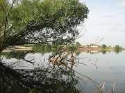 IMG_0351.jpg