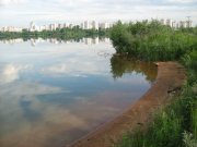 IMG_0353.jpg