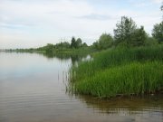 IMG_0357.jpg