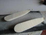 IMG_0365.jpg