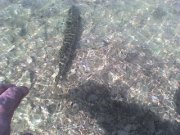 DSC00168.JPG