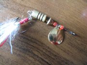 IMG_0271.jpg