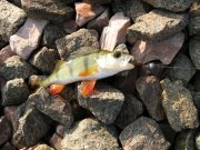 IMG_0384.jpg