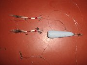 IMG_0385.jpg