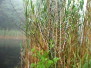 IMG_1159.JPG