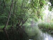 IMG_1167.JPG