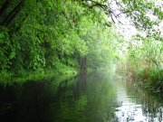 IMG_1169.JPG