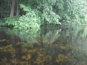 IMG_1171.JPG