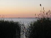 IMG_0292.jpg
