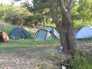 IMG_0302.jpg